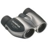 Dalekohled Olympus 10×21 DPC I Silver