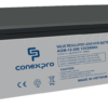 Baterie Conexpro AGM-12-200 VRLA AGM 12V/200Ah, T18