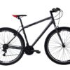 Horské jízdní kolo Capriolo LC 9.0 MTB 29″/21″ šedo-černé 2024